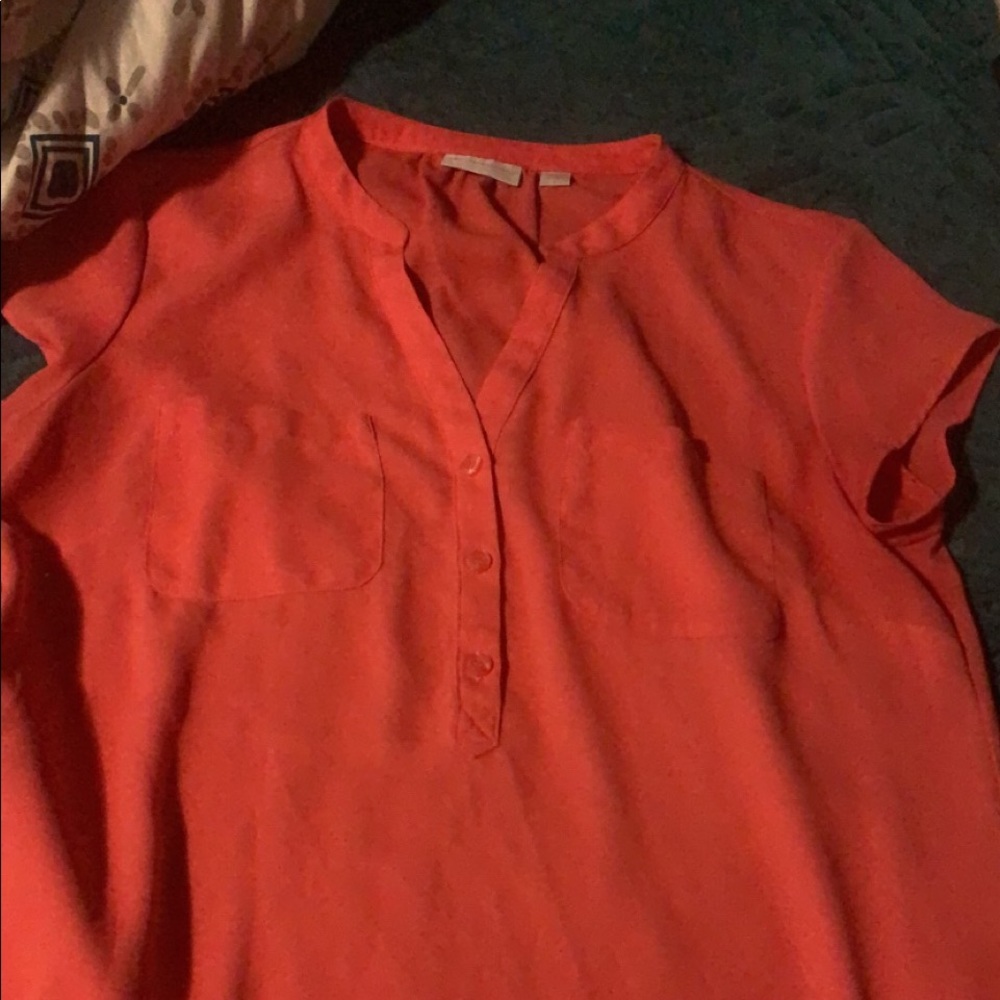 Cute dress shirt